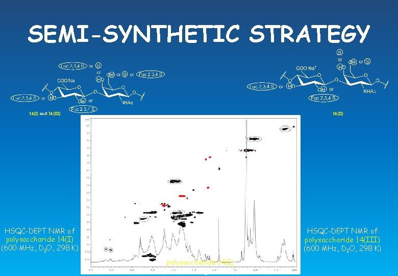 SEMI-SYNTHETIC STRATEGY 14(II) 14(I) and 14(III) HSQC-DEPT NMR of polysaccharide 14(I) (600 MHz, D