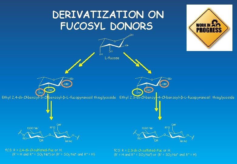 DERIVATIZATION ON FUCOSYL DONORS L-fucose Ethyl 2, 4 -di-O-benzyl-3 -O-benzoyl-β-L-fucopyranosil thioglycoside Ethyl 2, 3