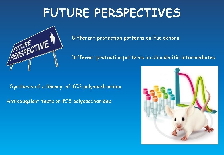 FUTURE PERSPECTIVES Different protection patterns on Fuc donors Different protection patterns on chondroitin intermediates