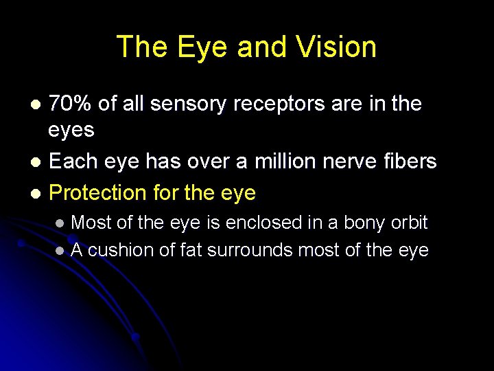 The Eye and Vision 70% of all sensory receptors are in the eyes l