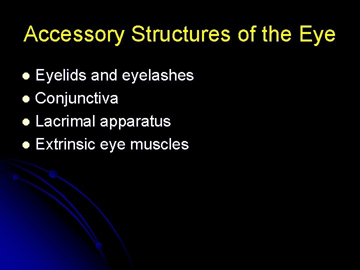 Accessory Structures of the Eyelids and eyelashes l Conjunctiva l Lacrimal apparatus l Extrinsic