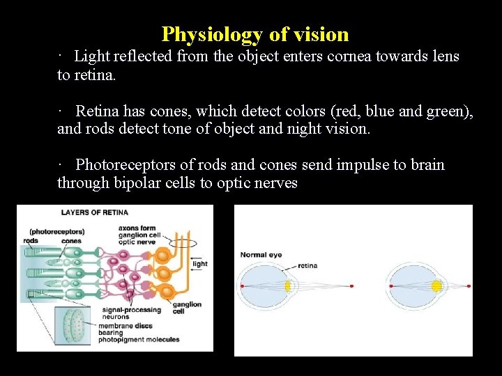 Physiology of vision · Light reflected from the object enters cornea towards lens to