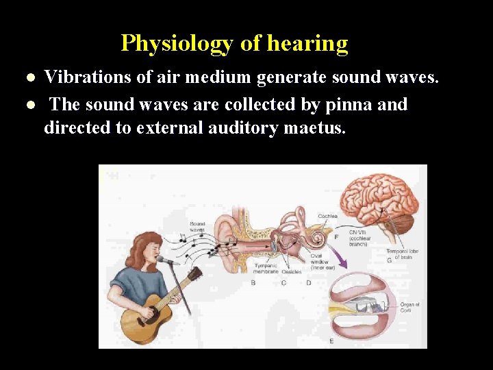 Physiology of hearing l l Vibrations of air medium generate sound waves. The sound