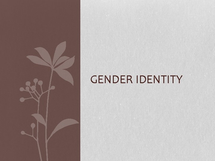 GENDER IDENTITY 