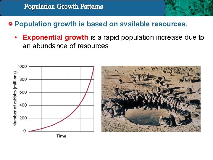 Population Growth 14. 4 Population and. Patterns Growth Patterns Population growth is based on