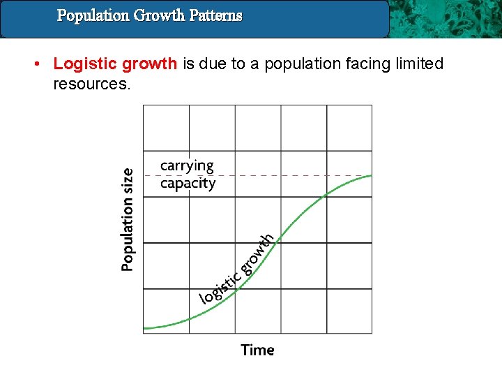 Population Growth 14. 4 Population and. Patterns Growth Patterns • Logistic growth is due