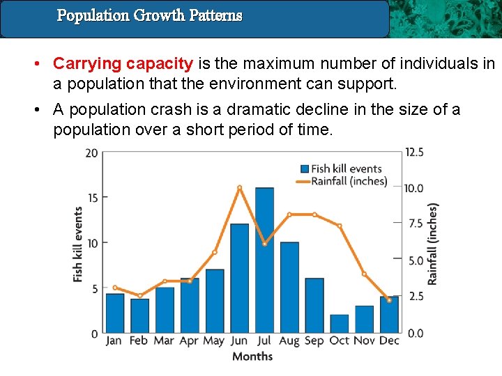 Population Growth 14. 4 Population and. Patterns Growth Patterns • Carrying capacity is the