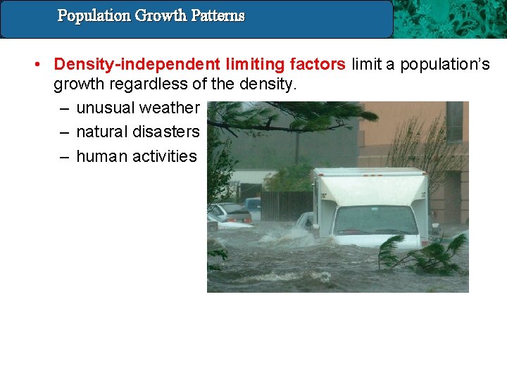 Population Growth 14. 4 Population and. Patterns Growth Patterns • Density-independent limiting factors limit