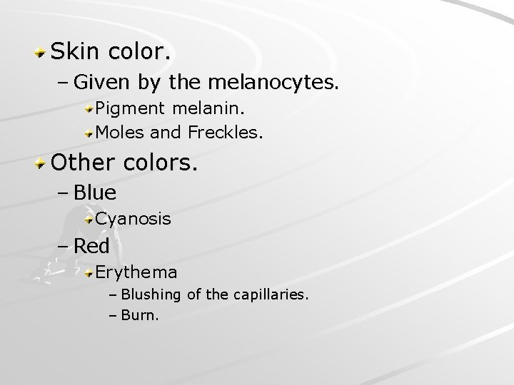 Skin color. – Given by the melanocytes. Pigment melanin. Moles and Freckles. Other colors.