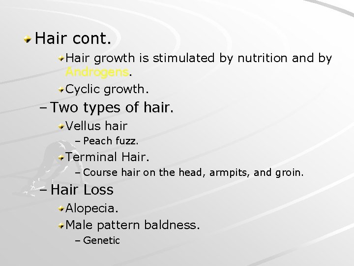 Hair cont. Hair growth is stimulated by nutrition and by Androgens. Cyclic growth. –