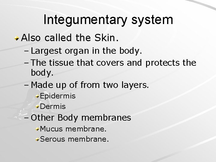 Integumentary system Also called the Skin. – Largest organ in the body. – The