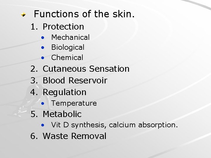 Functions of the skin. 1. Protection • • • Mechanical Biological Chemical 2. Cutaneous