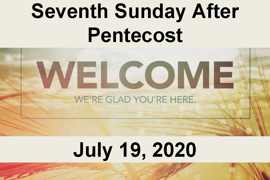 Seventh Sunday After Pentecost July 19, 2020 