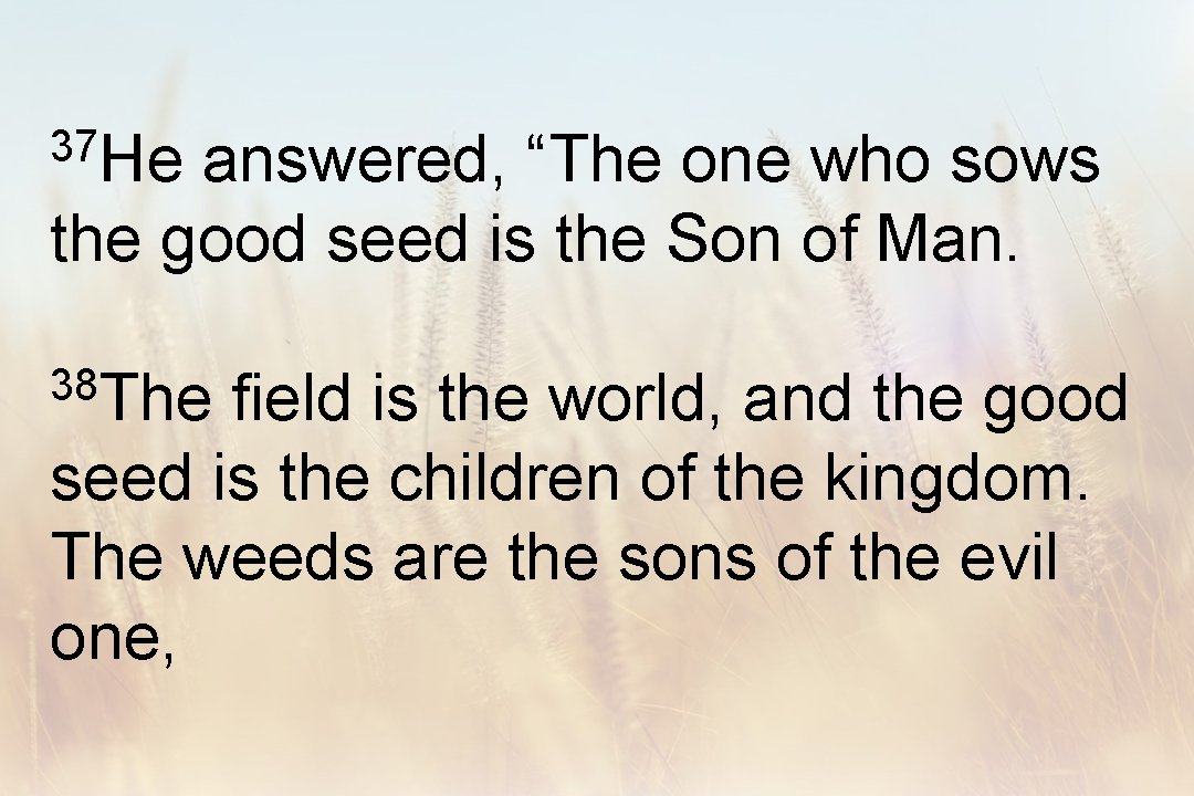 37 He answered, “The one who sows the good seed is the Son of