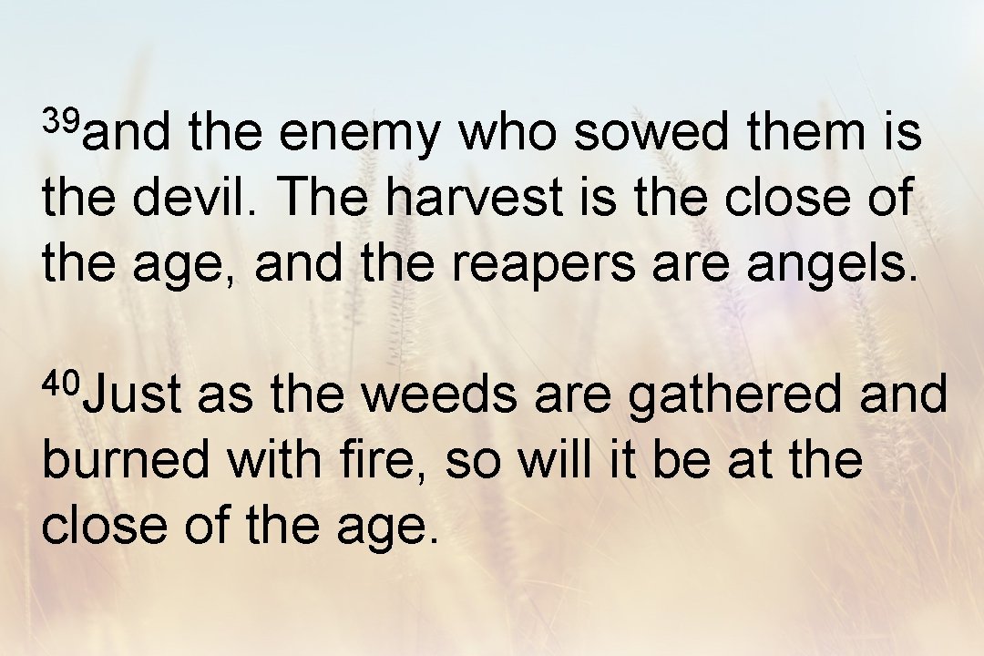39 and the enemy who sowed them is the devil. The harvest is the