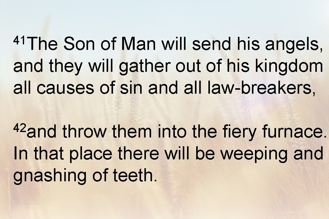 41 The Son of Man will send his angels, and they will gather out