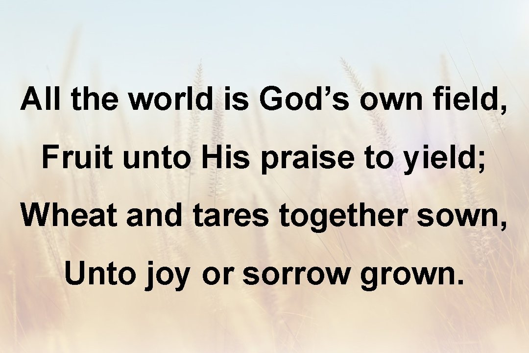 All the world is God’s own field, Fruit unto His praise to yield; Wheat