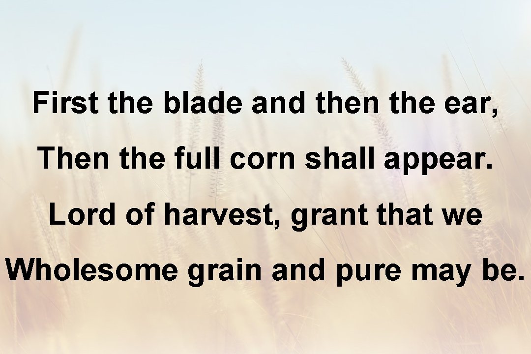 First the blade and then the ear, Then the full corn shall appear. Lord