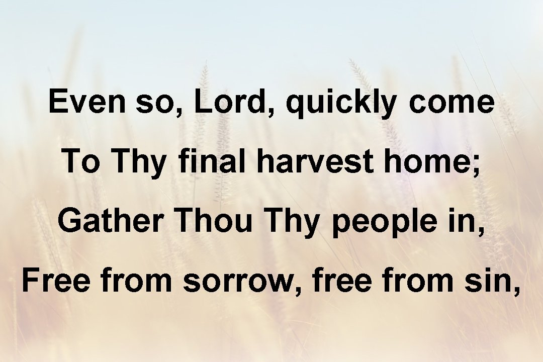 Even so, Lord, quickly come To Thy final harvest home; Gather Thou Thy people