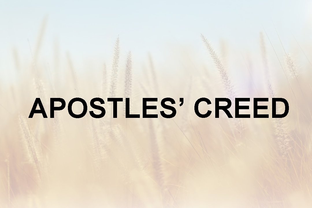 APOSTLES’ CREED 