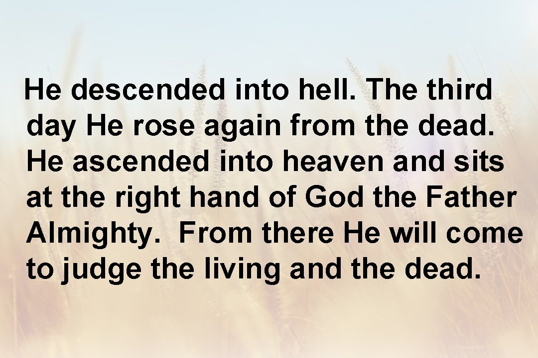 He descended into hell. The third day He rose again from the dead. He