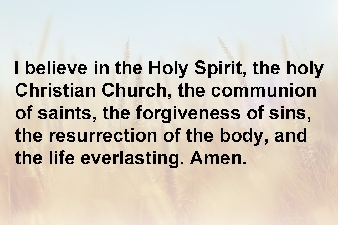 I believe in the Holy Spirit, the holy Christian Church, the communion of saints,