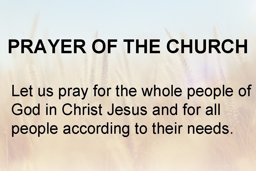 PRAYER OF THE CHURCH Let us pray for the whole people of God in