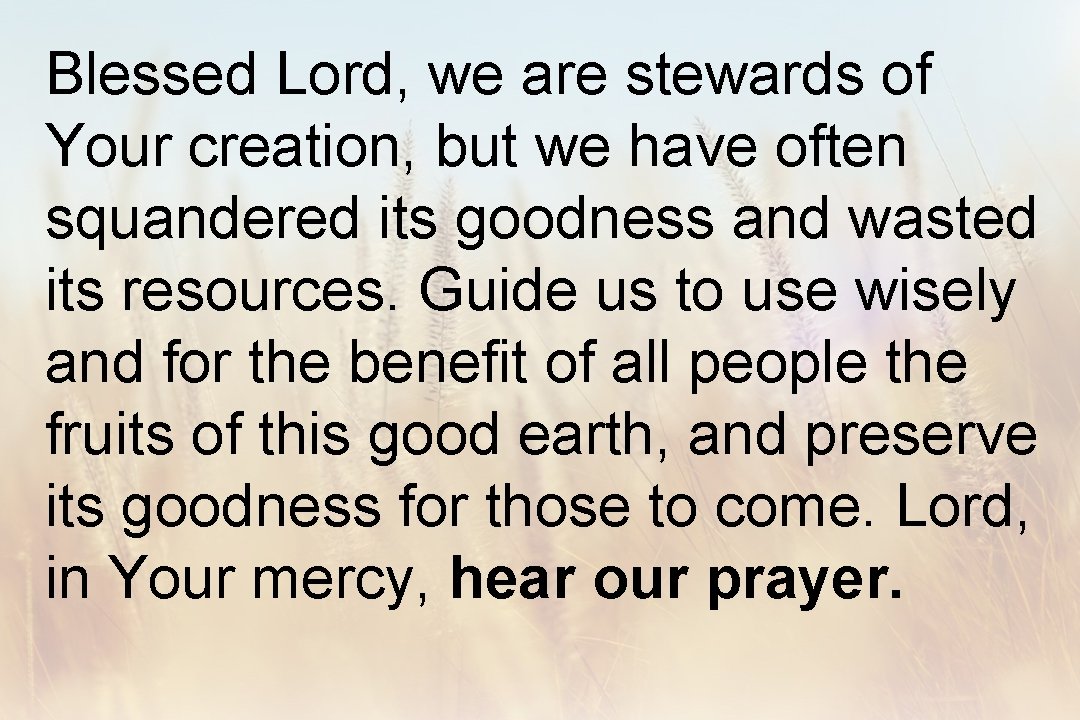 Blessed Lord, we are stewards of Your creation, but we have often squandered its