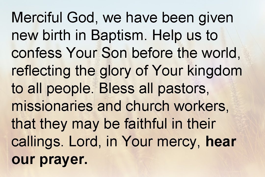 Merciful God, we have been given new birth in Baptism. Help us to confess
