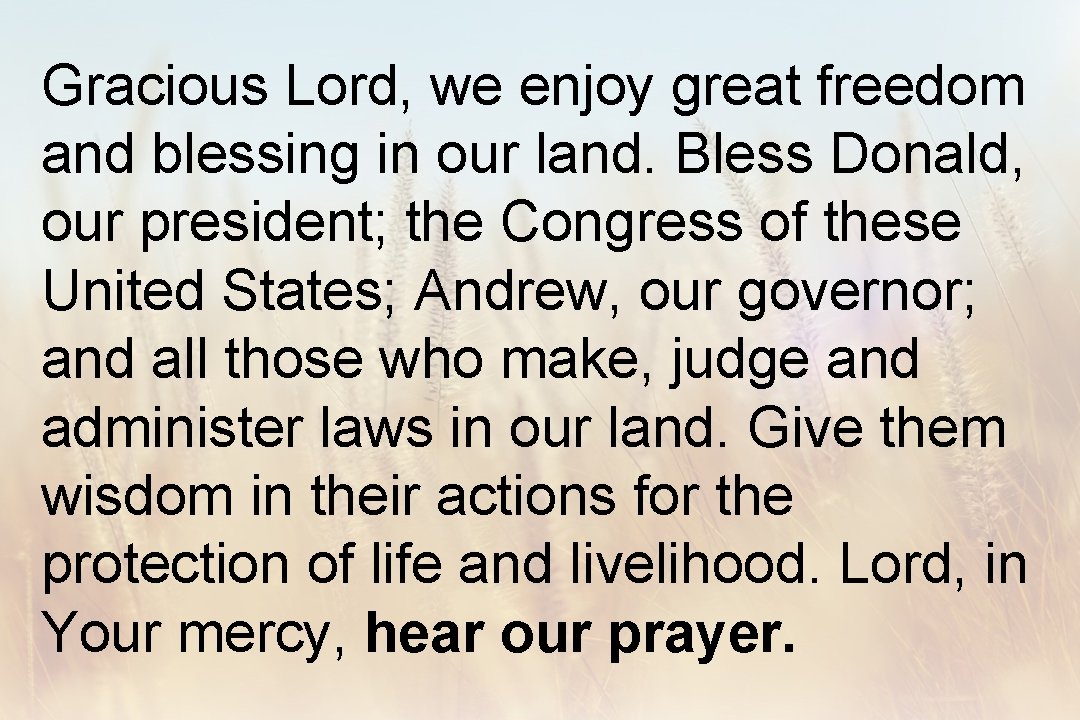 Gracious Lord, we enjoy great freedom and blessing in our land. Bless Donald, our