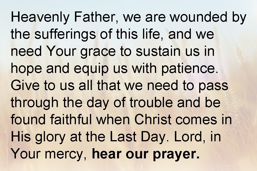 Heavenly Father, we are wounded by the sufferings of this life, and we need