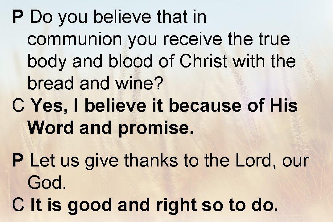 P Do you believe that in communion you receive the true body and blood