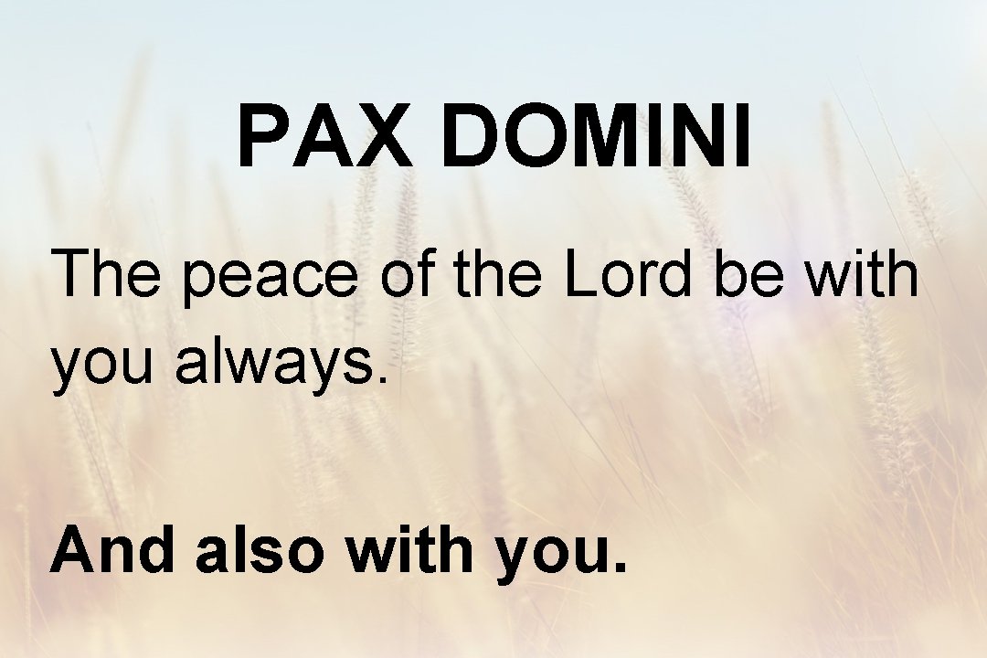 PAX DOMINI The peace of the Lord be with you always. And also with