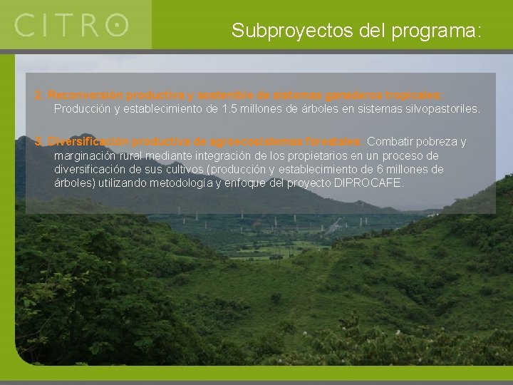 Subproyectos del programa: 2. Reconversión productiva y sostenible de sistemas ganaderos tropicales: Producción y
