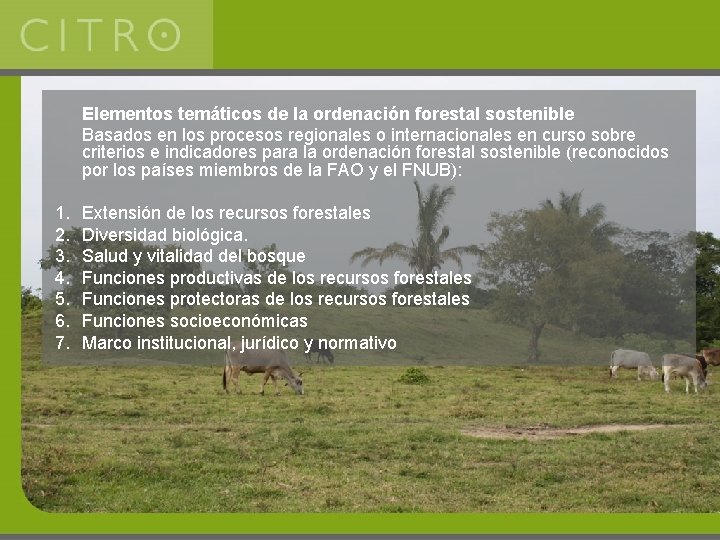 Elementos temáticos de la ordenación forestal sostenible Basados en los procesos regionales o internacionales