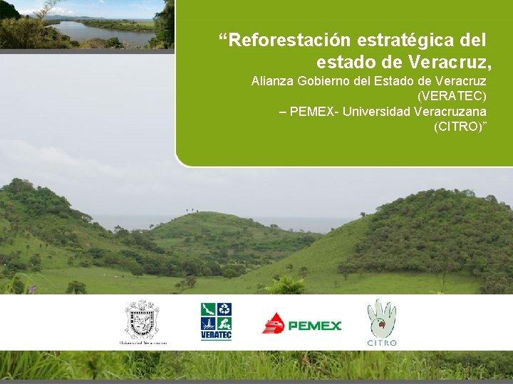 “Reforestación estratégica del estado de Veracruz, Alianza Gobierno del Estado de Veracruz (VERATEC) –