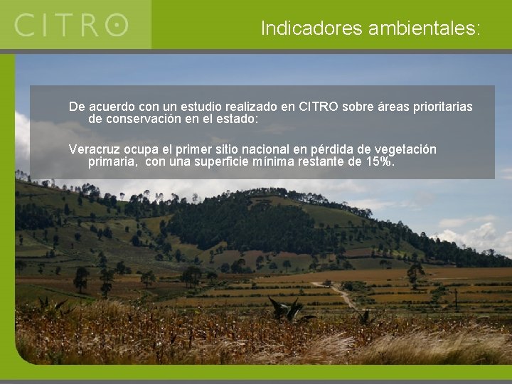 Indicadores ambientales: De acuerdo con un estudio realizado en CITRO sobre áreas prioritarias de