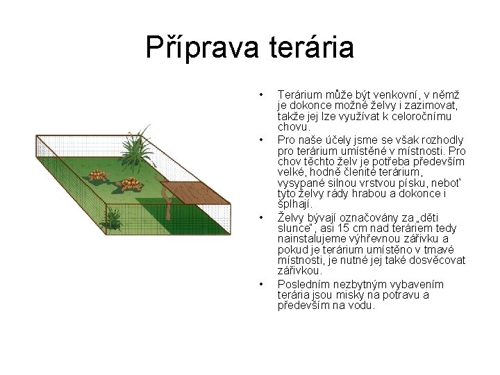 Příprava terária • • Terárium může být venkovní, v němž je dokonce možné želvy