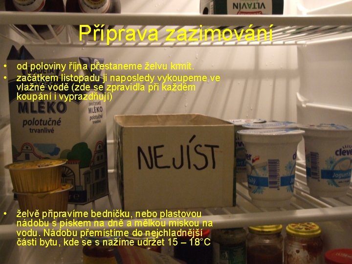 Příprava zazimování • od poloviny října přestaneme želvu krmit. • začátkem listopadu ji naposledy