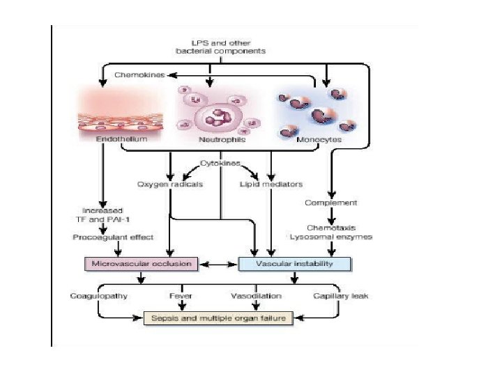 Sepsis and the systemic inflammatory response syndrome Definitions