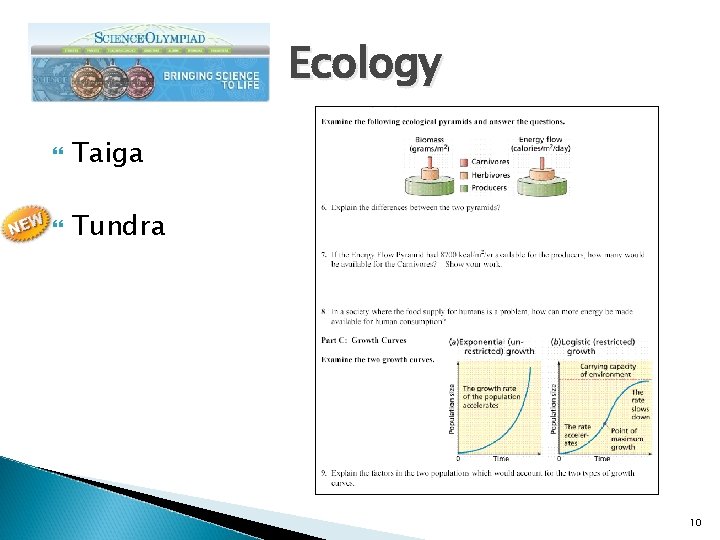 Ecology Taiga Tundra 10 
