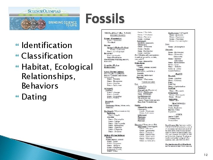 Fossils Identification Classification Habitat, Ecological Relationships, Behaviors Dating 12 