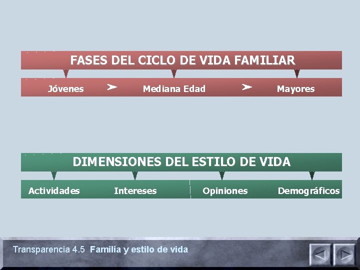 FASES DEL CICLO DE VIDA FAMILIAR Jóvenes Mediana Edad Mayores DIMENSIONES DEL ESTILO DE