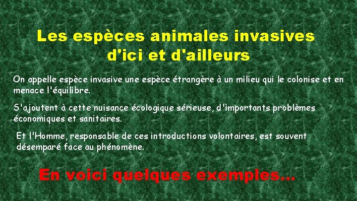 Les espèces animales invasives d'ici et d'ailleurs On appelle espèce invasive une espèce étrangère