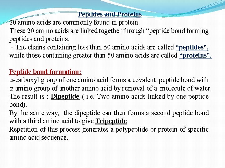 Peptides and Proteins 20 amino acids are commonly found in protein. These 20 amino