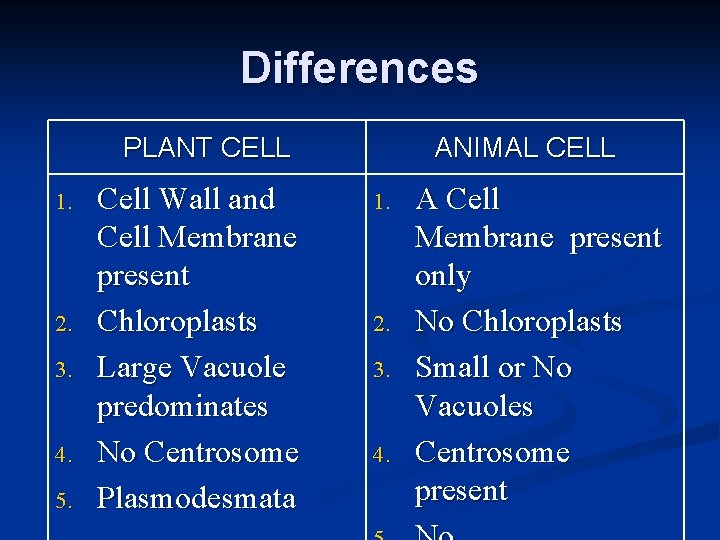 Differences PLANT CELL 1. 2. 3. 4. 5. Cell Wall and Cell Membrane present