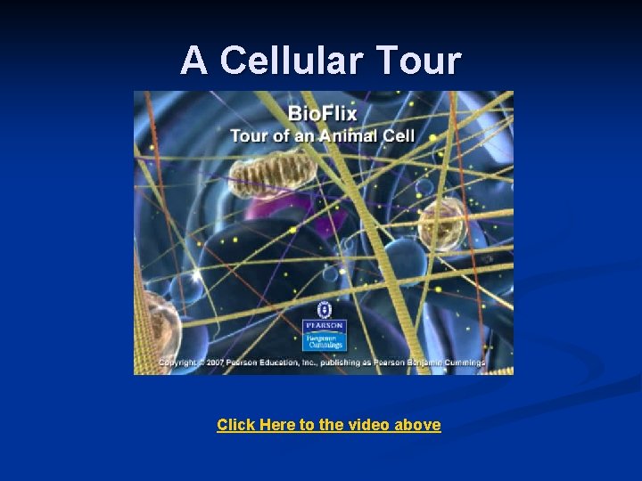 A Cellular Tour Click Here to the video above 