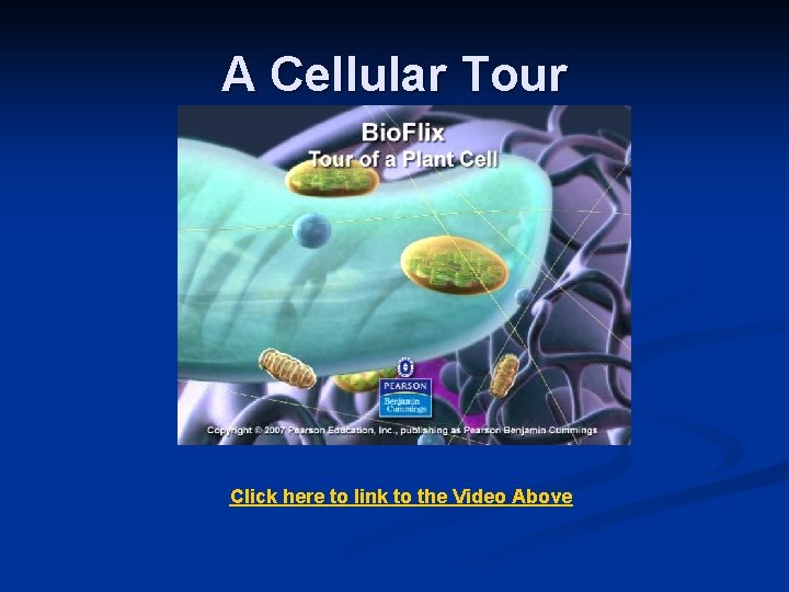 A Cellular Tour Click here to link to the Video Above 