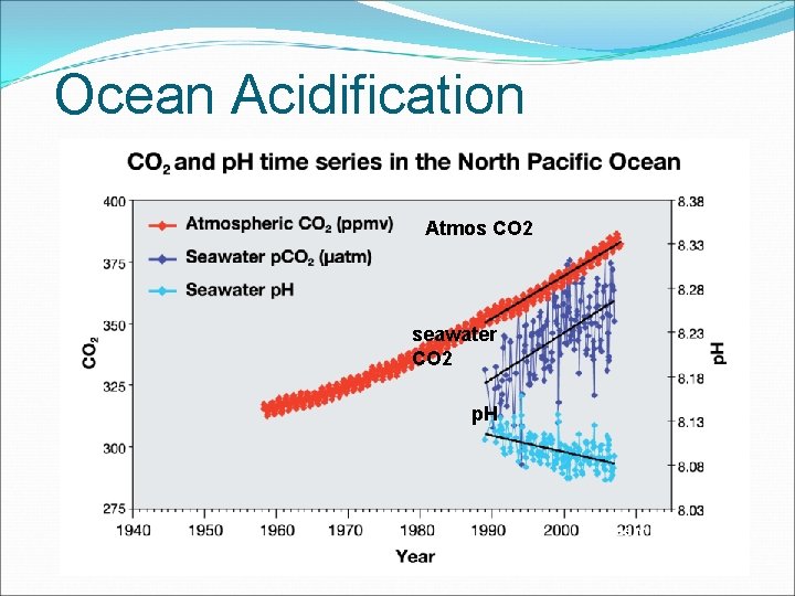 Ocean Acidification Atmos CO 2 seawater CO 2 p. H • * (Feely et