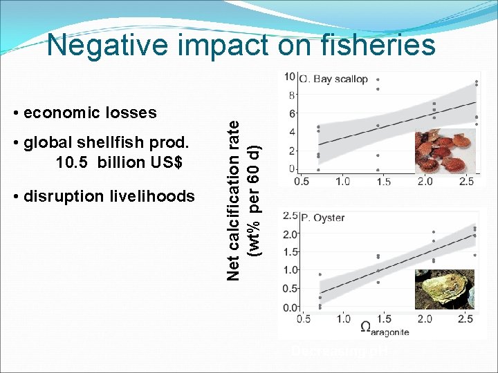  • economic losses • global shellfish prod. 10. 5 billion US$ • disruption